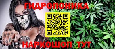 спиды Лесосибирск