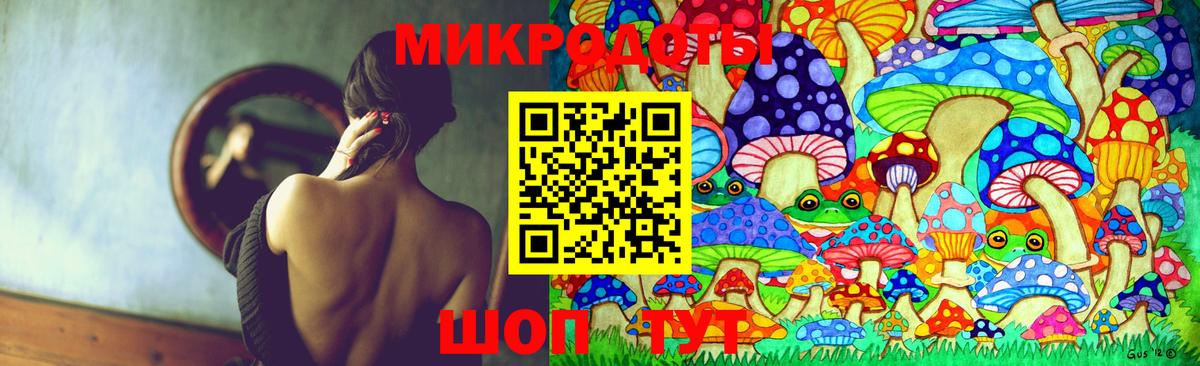 Псилоцибиновые грибы Psilocybe Тверь