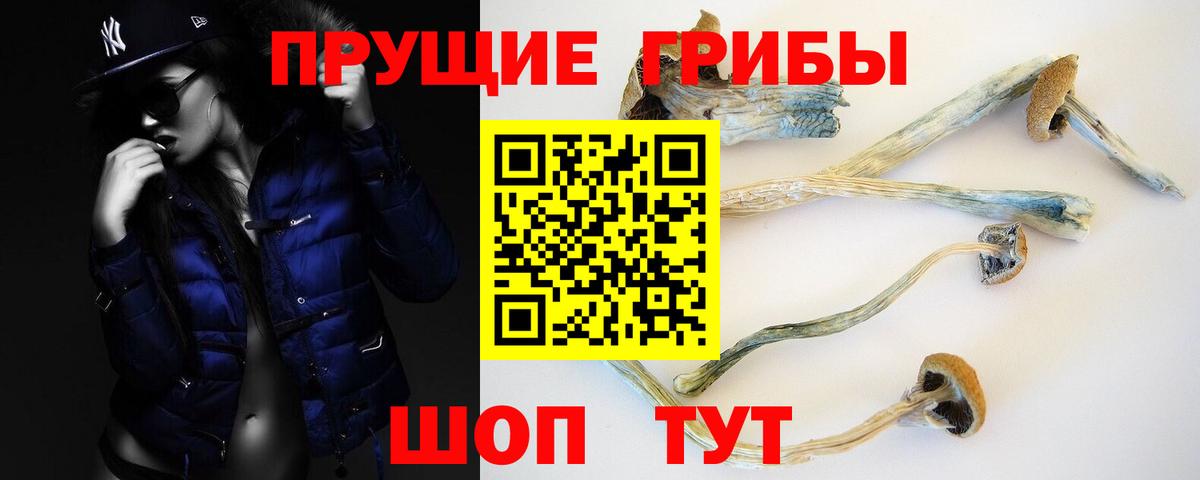 Тверь  Псилоцибиновые грибы прущие грибы  Вход с VPN 